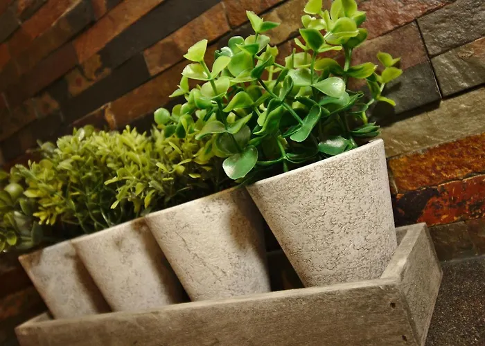 Apartment The Old Hay Loft *