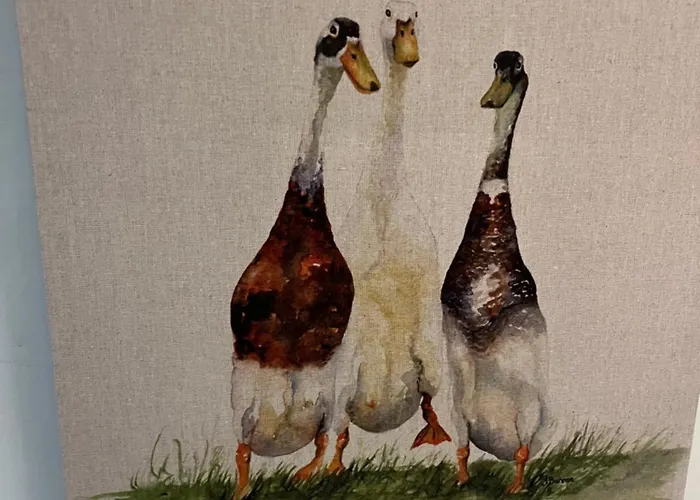 The Old Hay Loft Apartment *